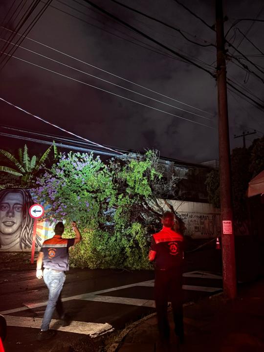 Foto 24 de 27 — Temporal volta a atingir Araraquara e provoca estragos em vários bairros; veja as fotos